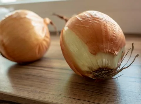 Onion in shell ready to be processed in the kitchen Stock Photos