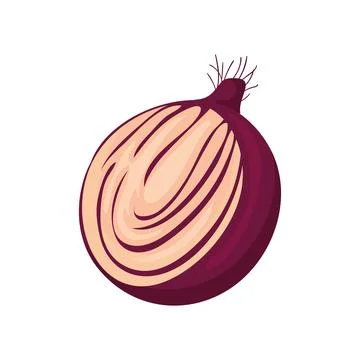 Onion slice design Stock Illustration