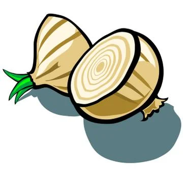 Onion Slice Stock Illustration