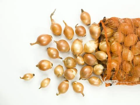 Onion spill Stock Photos