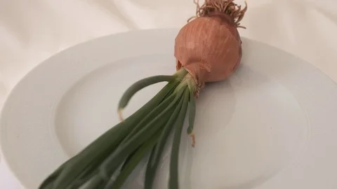 Onion sprouting on the 360 degree rotating stand, very close-up, Stock Footage 126788385