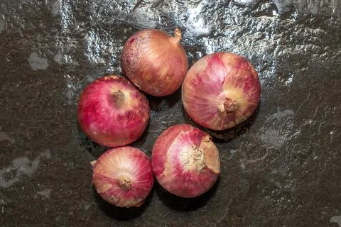 Onion on the stone background Stock Photos