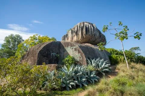 Onion Stone Stock Photos
