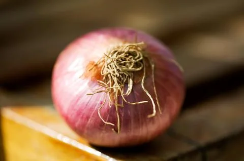 Onion in sunlight ; India Stock Photos