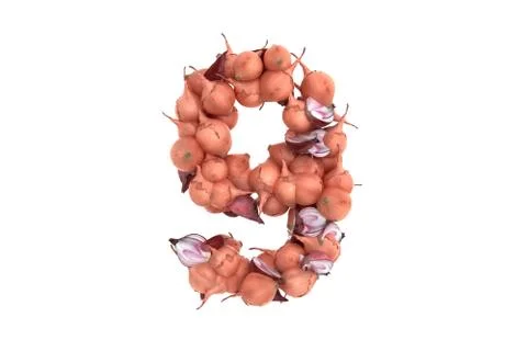 Onion symbol 9 on white background Ilustración de archivo