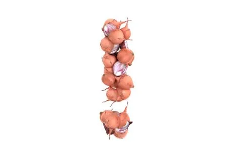 Onion symbol ! on white background Stock Illustration