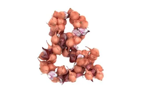 Onion symbol on white background Ilustración de archivo