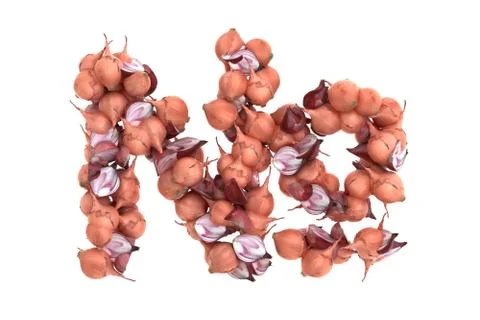 Onion symbol on white background Stock Illustration