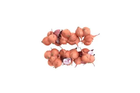 Onion symbol = on white background Stock Illustration