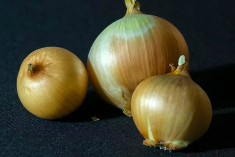 Onion on the table Foto stock