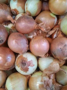 Onion on the table Stock Photos