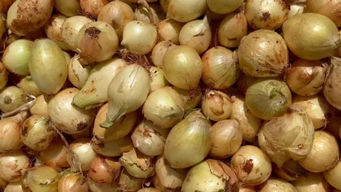 Onion  top view vegetables Stock Footage 240425231