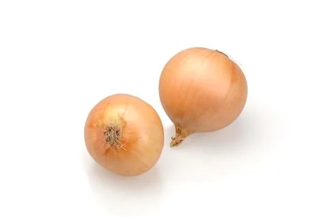 Onion. Two yellow onions. On a white background Stock Photos