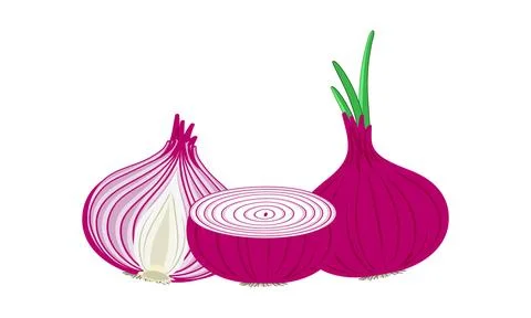 Onion Vector Design And Illustration. Stock Illustration