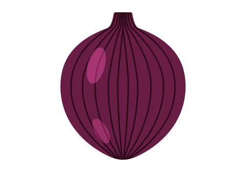 Onion. Vector graphics on a white background. Stock Illustration