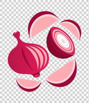 Onion vector, half an onion, onion rings, onion clipart vector illustration Stock-Illustration