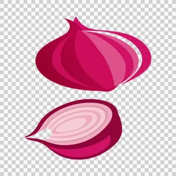 Onion vector, half an onion, onion rings, onion clipart vector illustration 스톡 일러스트