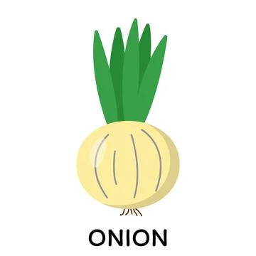 Onion, vector illustration in cartoon flat stye. Food and vegetable concept. Pri Stock Illustration