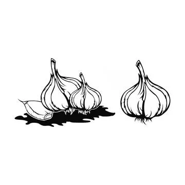 Onion vector isolated Stock Illustration