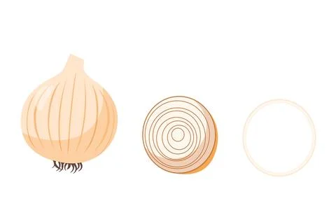 Onion. Vector set in cartoon style. Isolated vegetables Stock Illustration