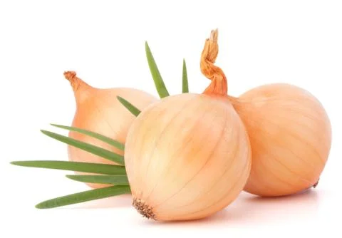 Onion vegetable Stock Photos