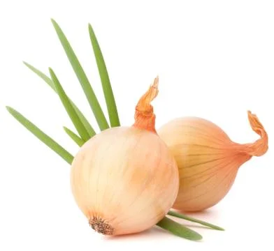 Onion vegetable Stock Photos
