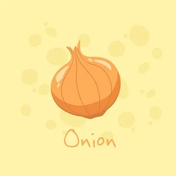 Onion Vegetable vector illustration Stock-Illustration