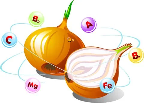 Onion with Vitamins Orbiting Stock Illustration