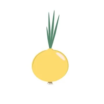 Onion on a white background. Illustration. Stock Illustration