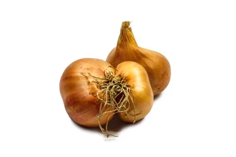 Onion on white background Stock Photos