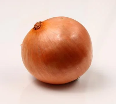 Onion on a white background Stock Photos