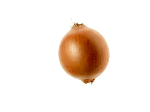 Onion on white background Stock Photos