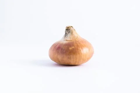 Onion on white background Stock Photos