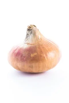 Onion on white background Фото