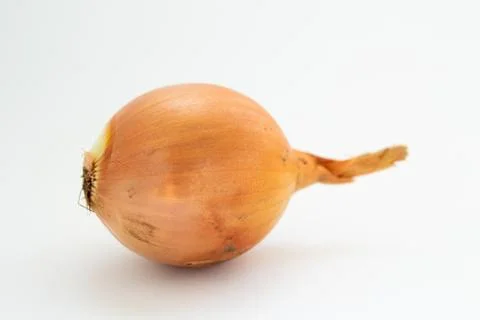 Onion on a white background Stock Photos
