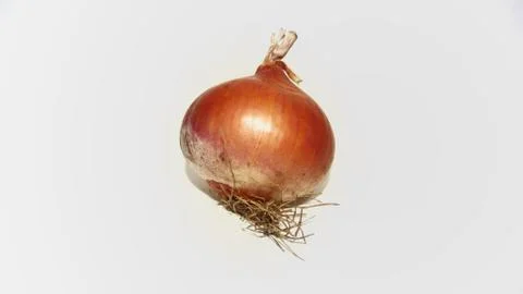 Onion on white background Stock Photos