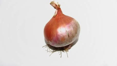 Onion on white background Stock Photos