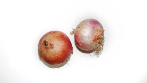 Onion on white background Stock Photos