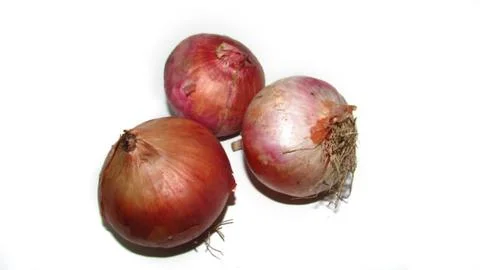 Onion on white background Stock Photos