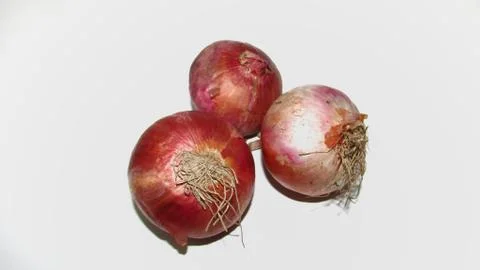 Onion on white background Stock Photos