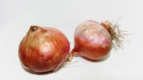 Onion on white background Stock Photos