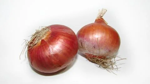 Onion on white background Stock Photos