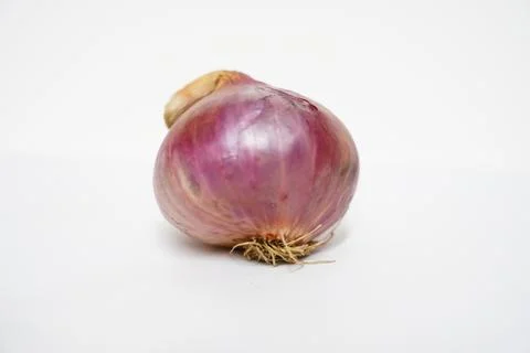 Onion at white background Foto stock