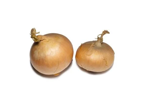 Onion on a white background. Root isolate. Fresh vegetables. Stock Photos