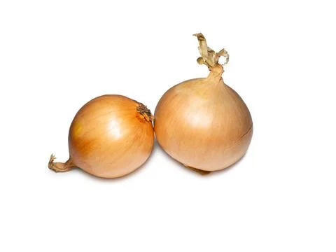Onion on a white background. Root isolate. Fresh vegetables. Stock Photos