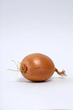 An onion on white ground Stock Photos