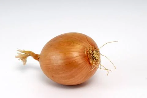 An onion on white ground Stock Photos