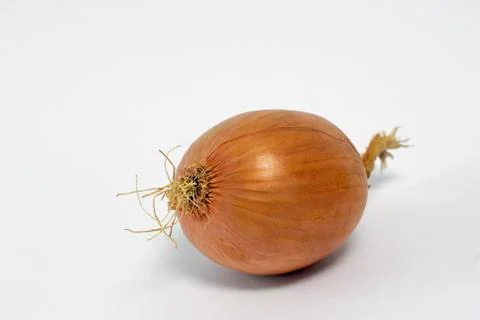 An onion on white ground Stock Photos