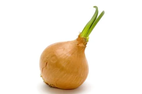 Onion on white Foto stock