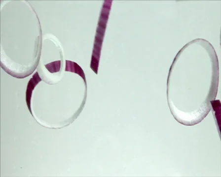 Onionrings Stock Footage 596314
